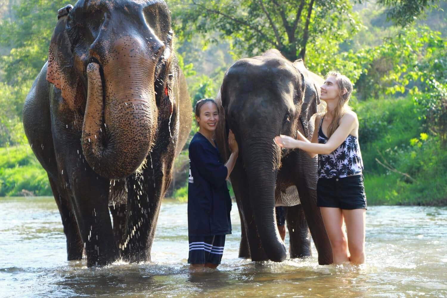 Tailandia En Familia