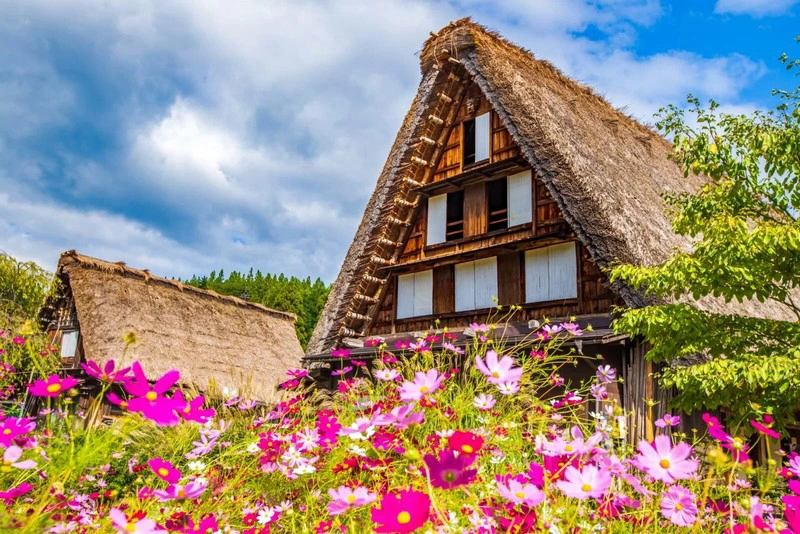 Qué hacer en Shirakawa-go - El pueblo nevada de cuento de hadas
