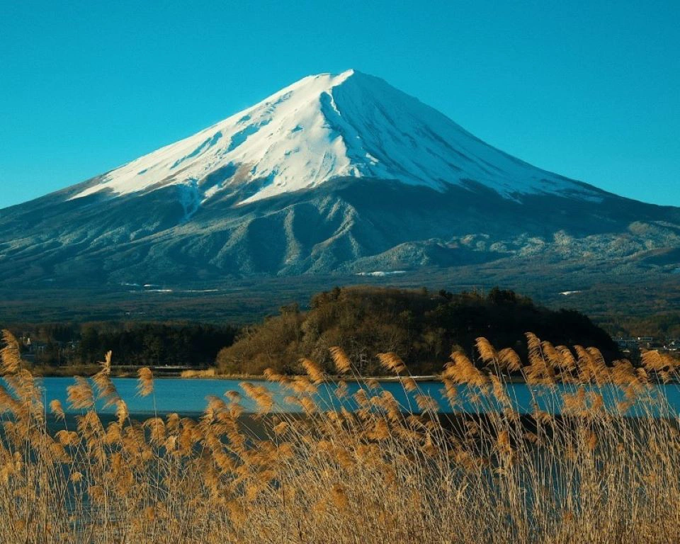Japón