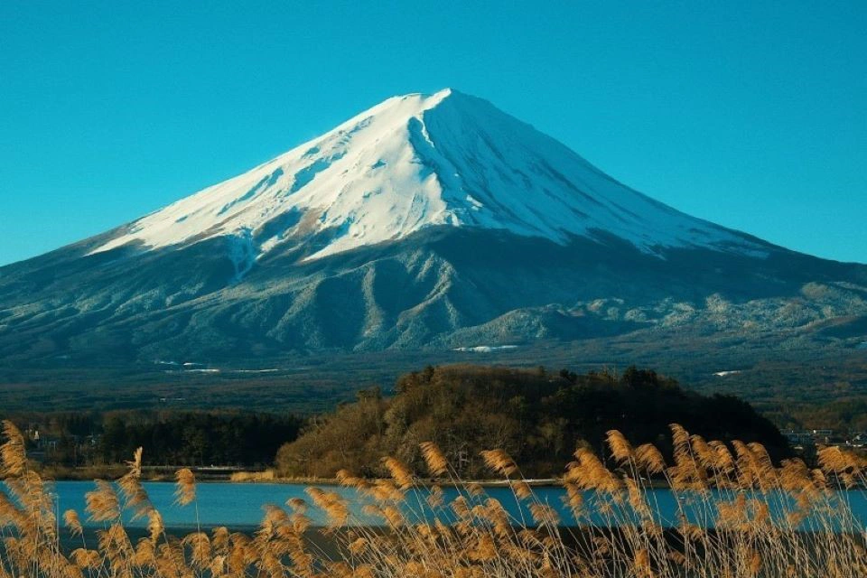 Japón