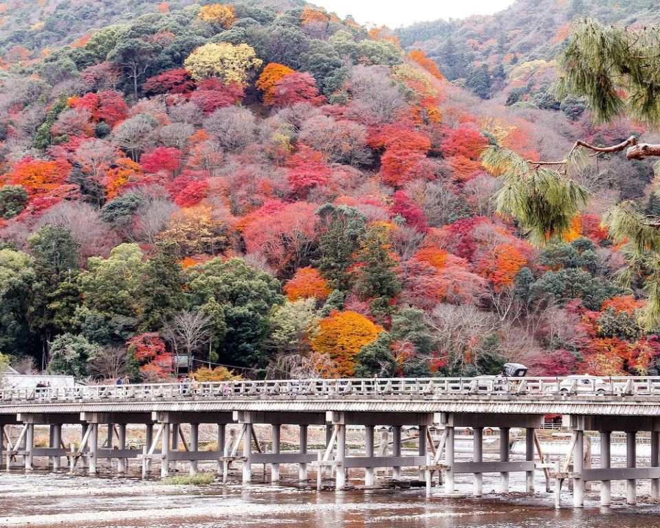 Japón Auténtico