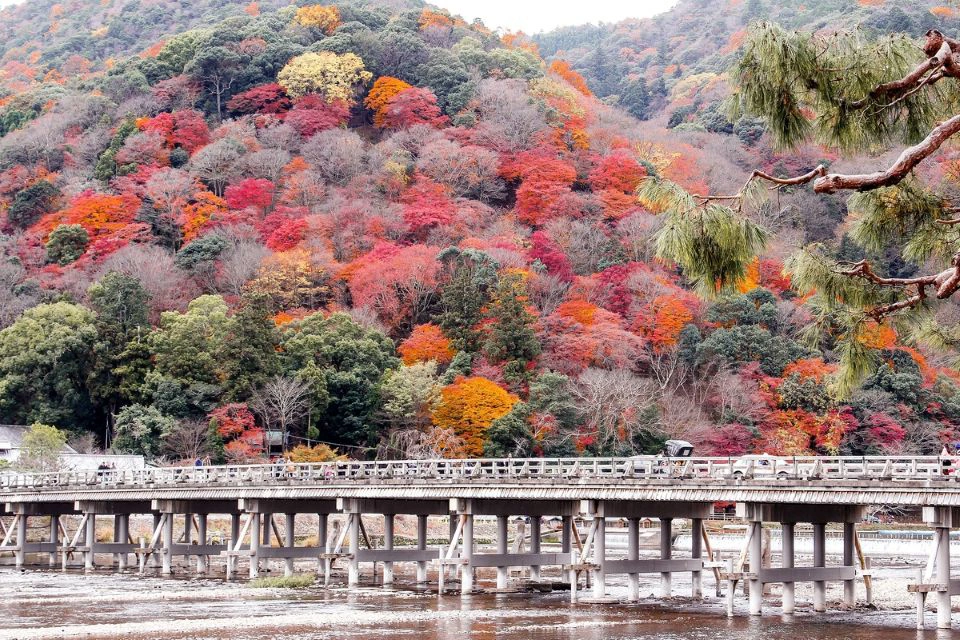 Japón Completo