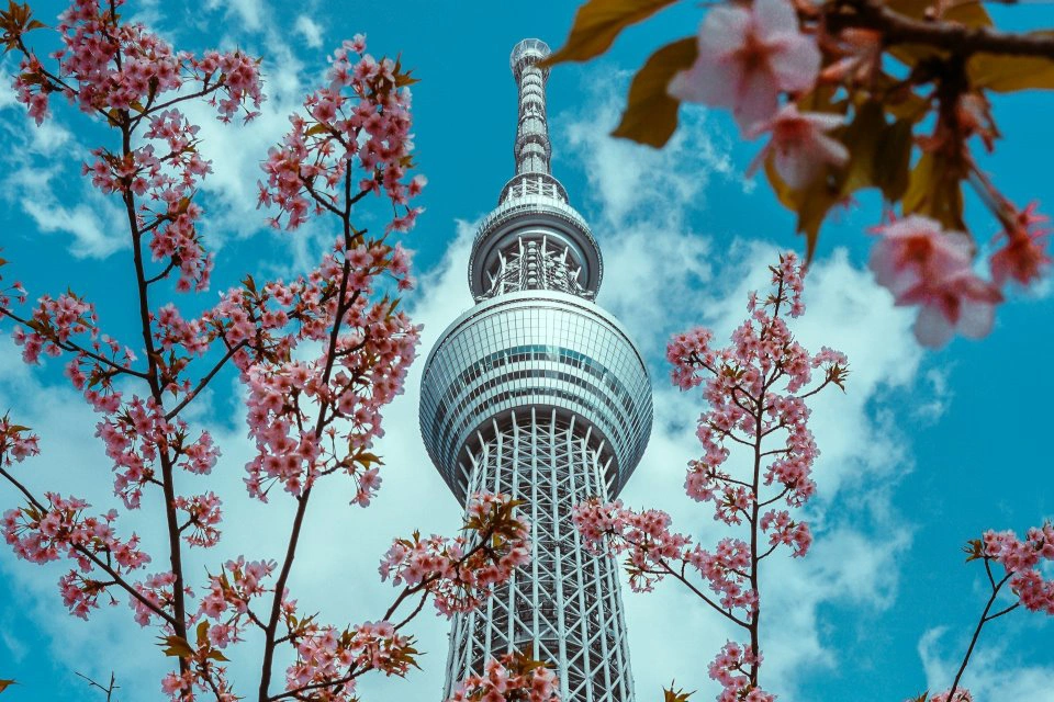 La Ruta Dorada de Japón