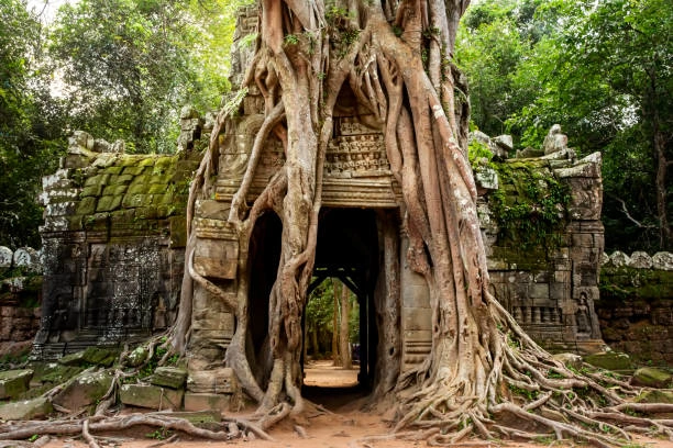 Camboya Con Estilo