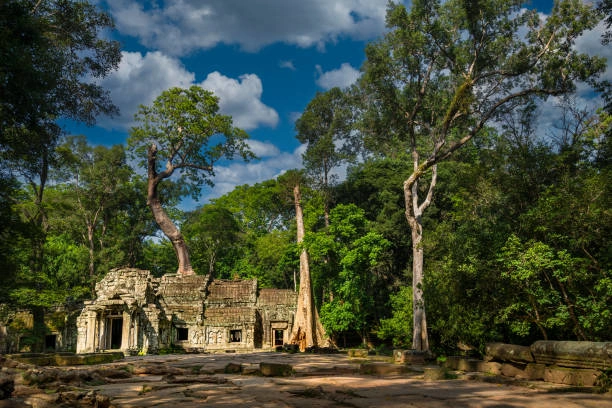 Camboya Clásico