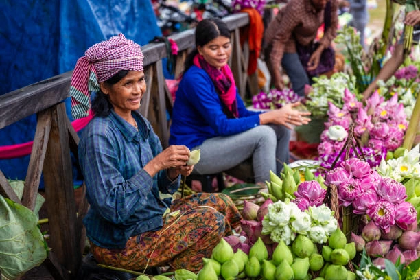 Vietnam Clásico Y Camboya En Grupo