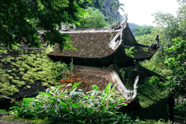 Norte De Vietnam A Un Vistazo