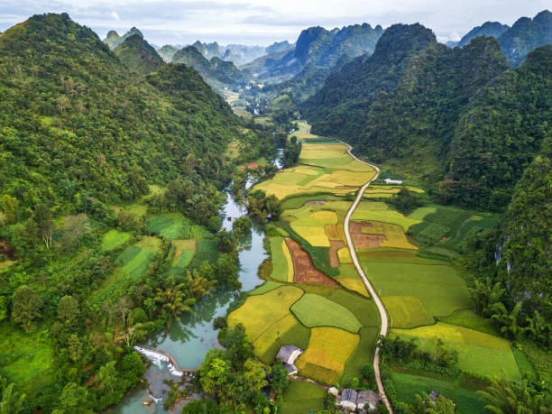 Norte De Vietnam A Un Vistazo