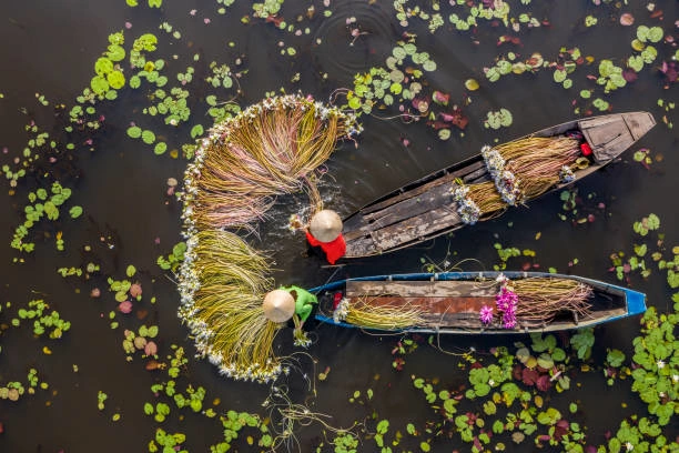 Vietnam Clásico Con Ninh Binh En Grupo