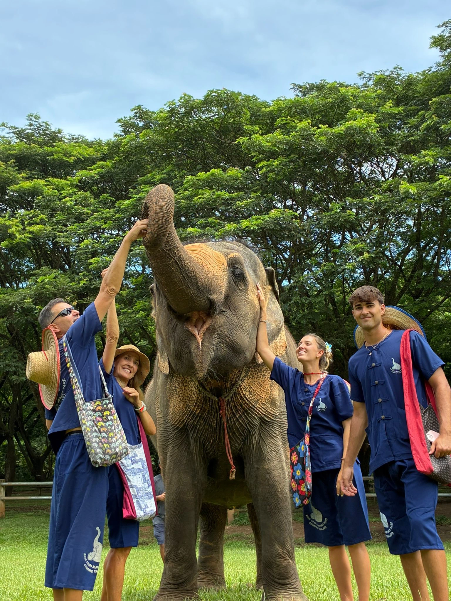 Nos Hemos Sentido Muy Bien Atendidos En Todo Momento