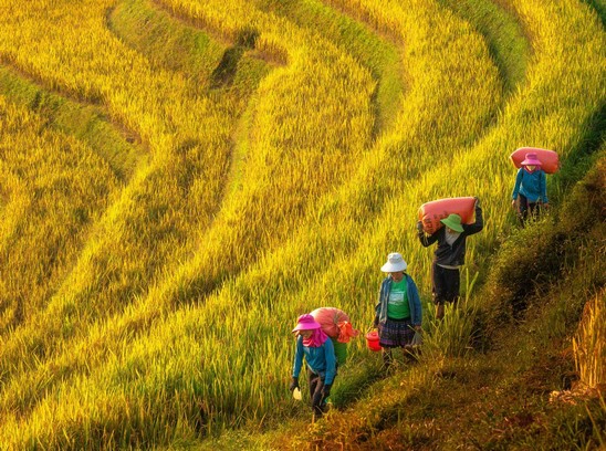 Memorias De Un Gran Viaje Por Sudeste Asiático