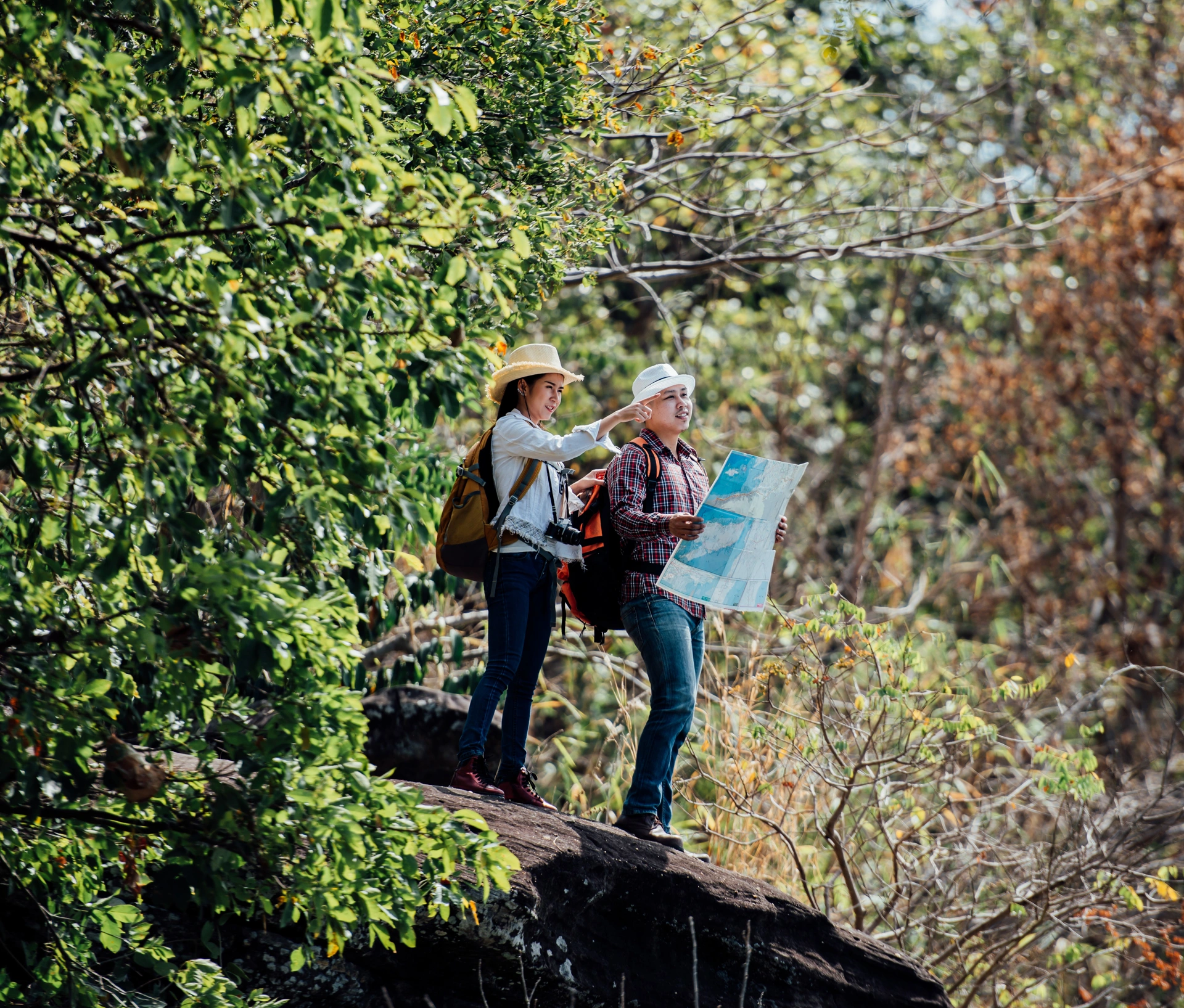 Amantes de Naturaleza