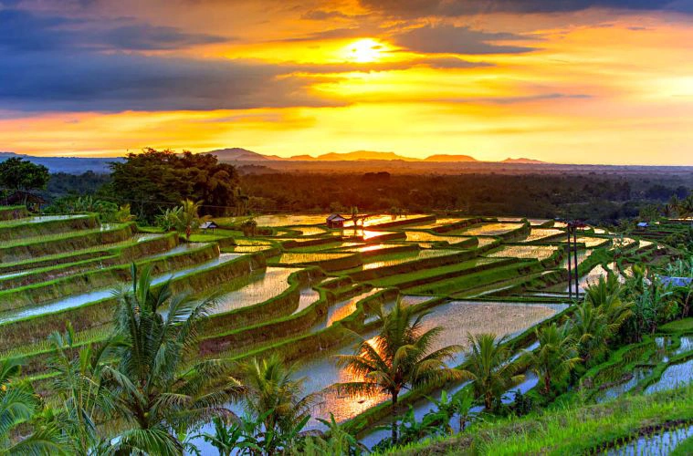 las-mejores-cosas-que-hacer-en-ubud