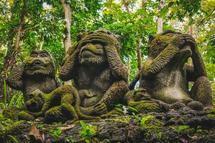 las-mejores-cosas-que-hacer-en-ubud